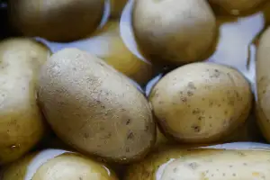 Nedostatek Draslíku